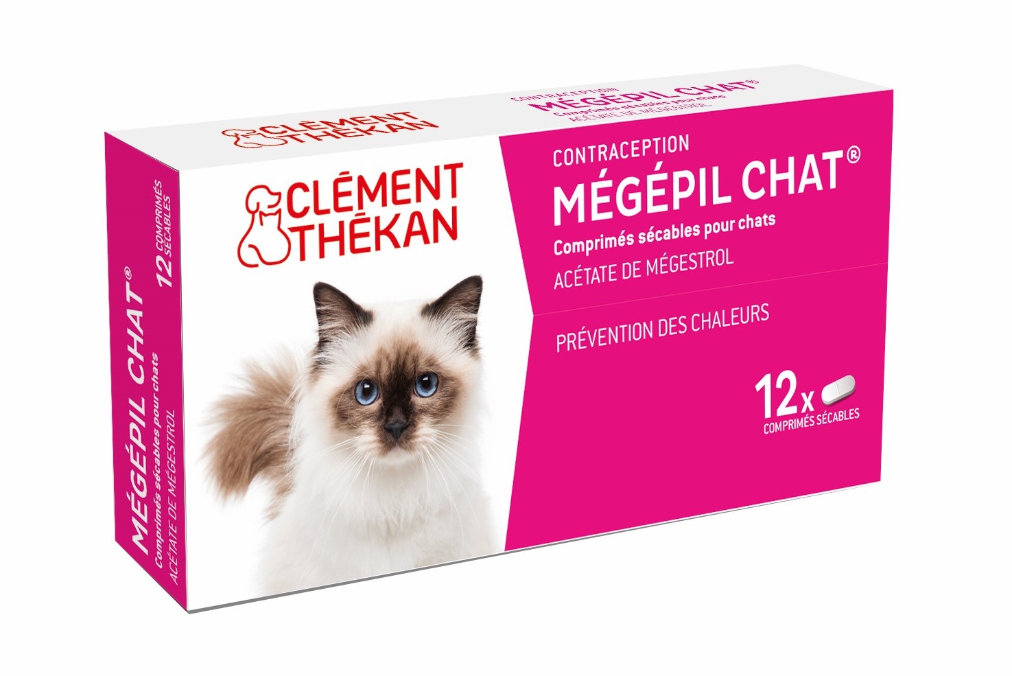Contraception de la chatte : découvrez les 4 solutions qui s'offrent à vous